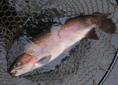 雨の平谷湖フィッシングスポットでエキスパートエリアを独り占め